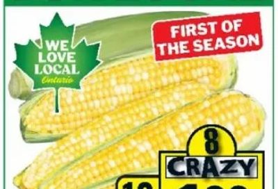 Foodbasics: Sweet Corn 10/$1.98 (July 30 - August 5)