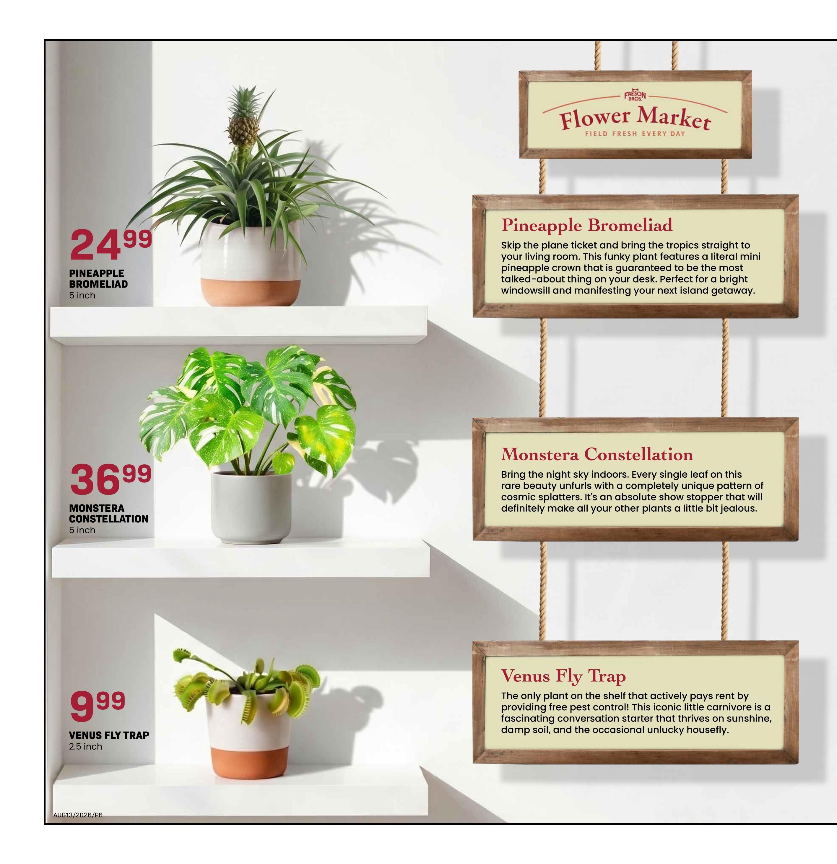 Freson Bros. Flyer August 7 to 13