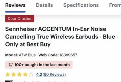 Best Buy: Sennheiser ACCENTUM In-Ear Noise Cancelling True Wireless Earbuds