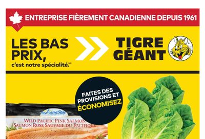 Tigre Géant Flyer August 5 to 11