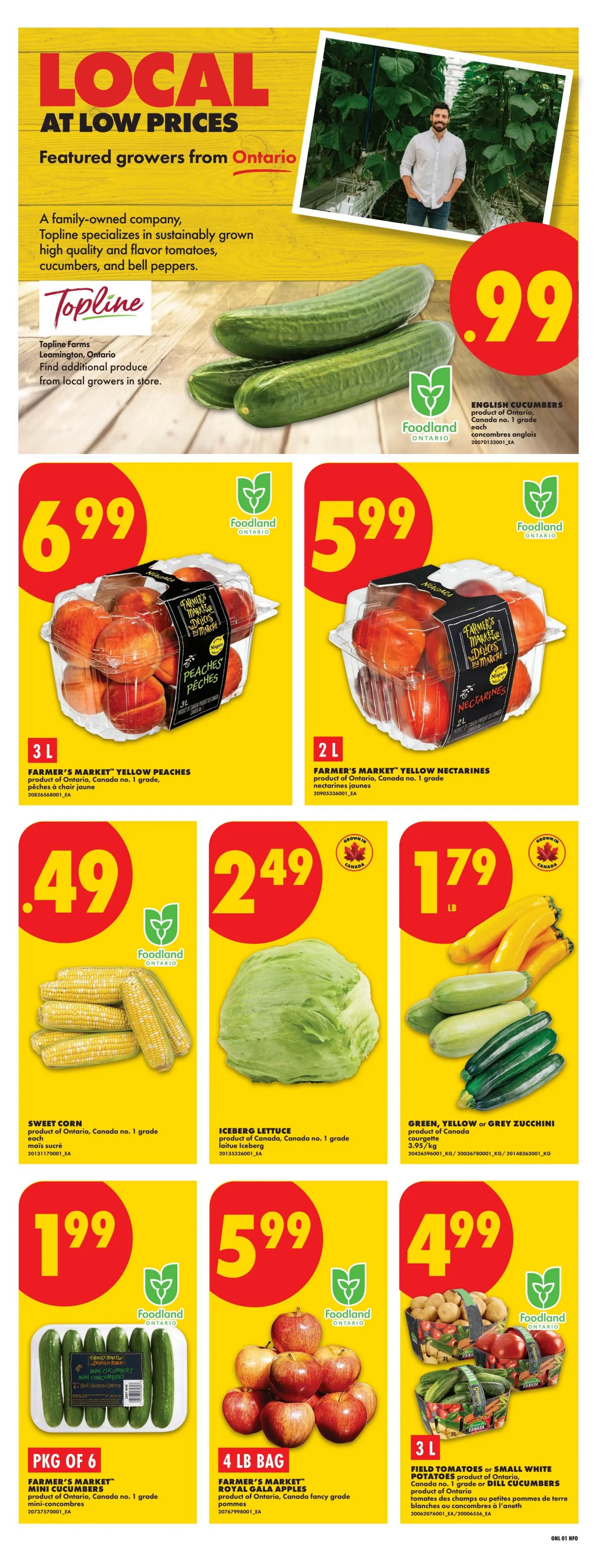 No Frills (ON) Flyer August 6 to 12