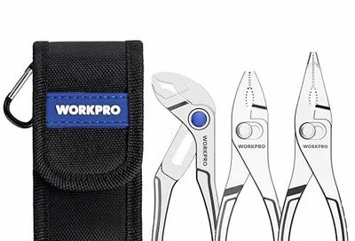 Amazon.ca: WORKPRO 3-Piece Mini Pliers Set with Pouch - 31.99