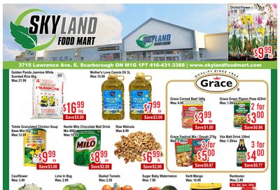 Skyland Food Mart Flyer August 7 to 13