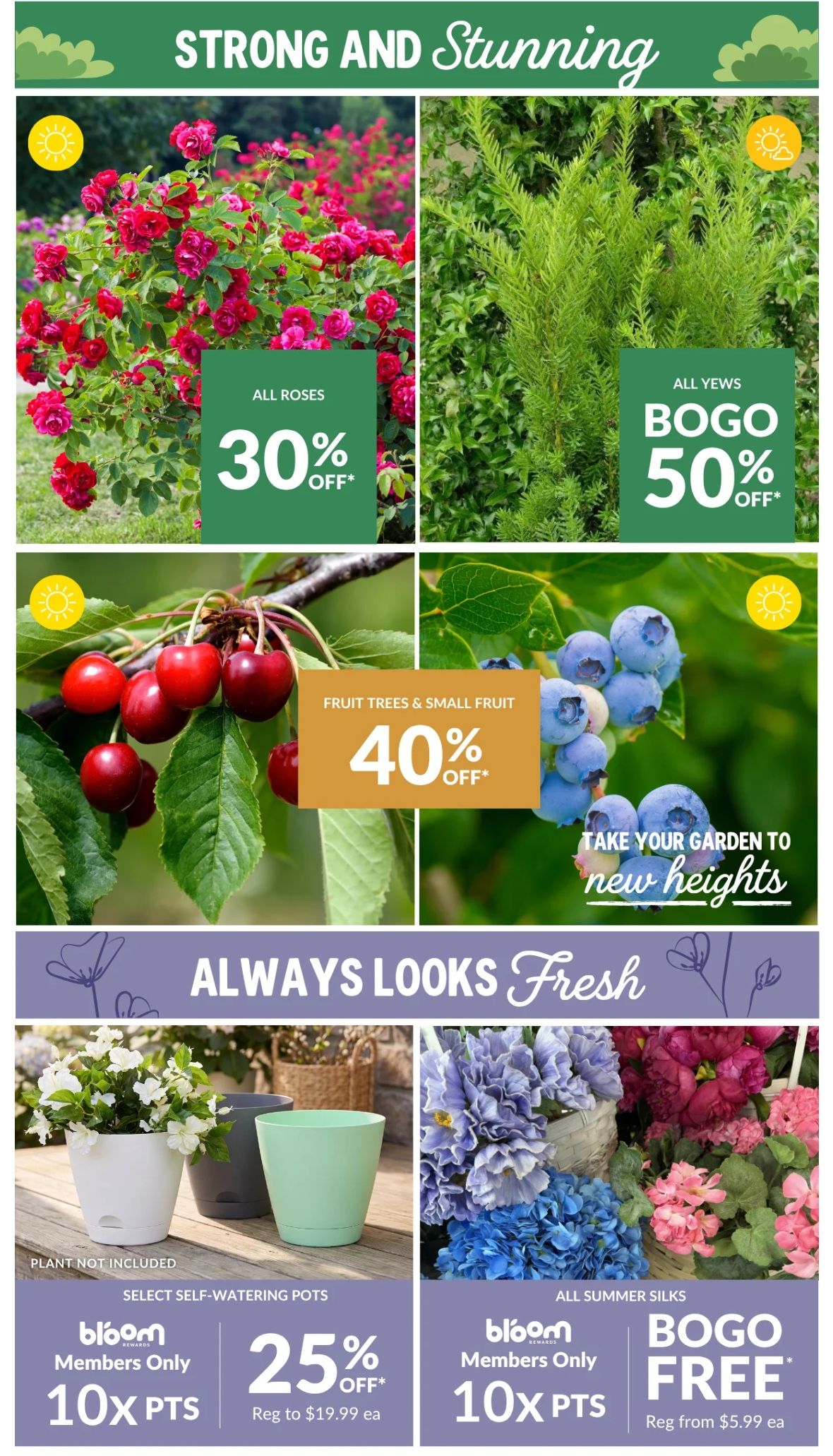 Lakeside Garden Gallery Flyer August 7 to 13