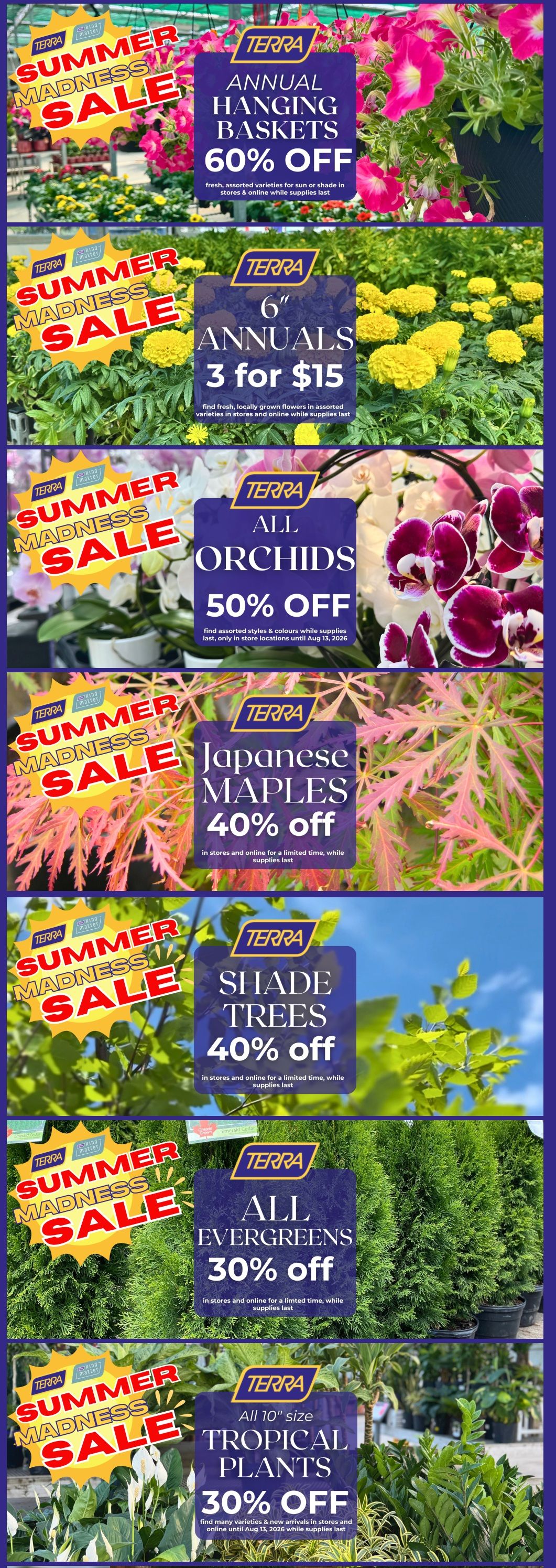 Terra Greenhouses Flyer August 7 to 13