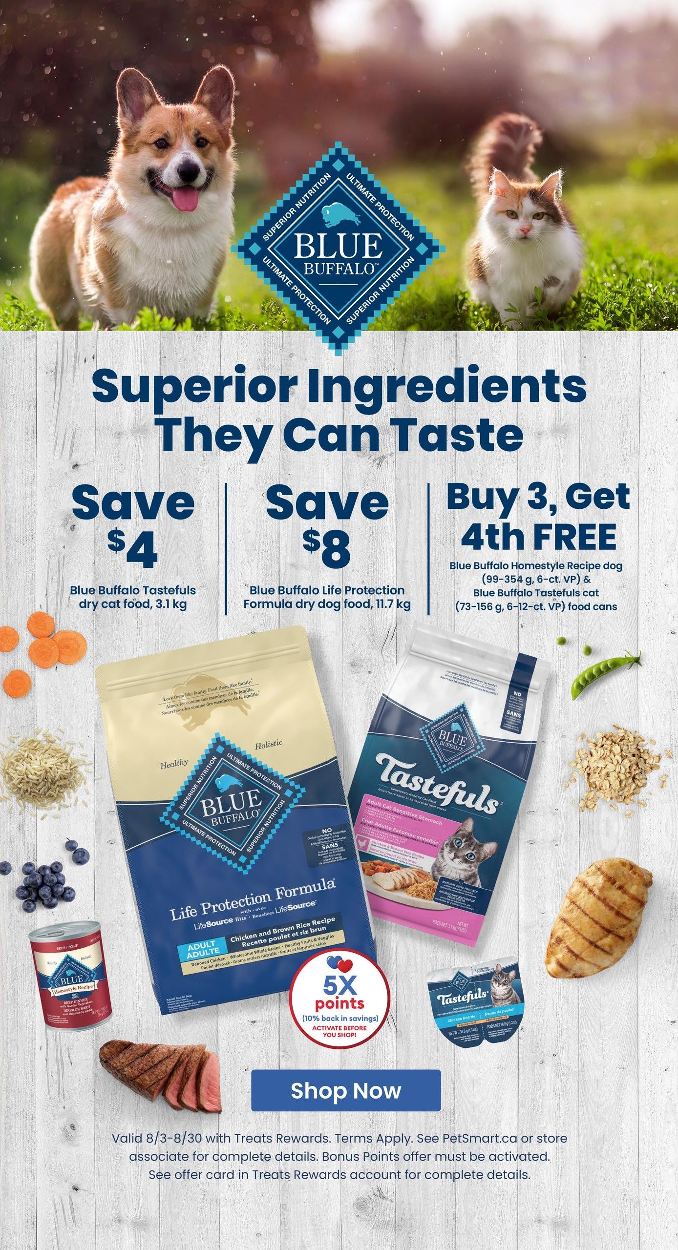 PetSmart Flyer August 10 to 16