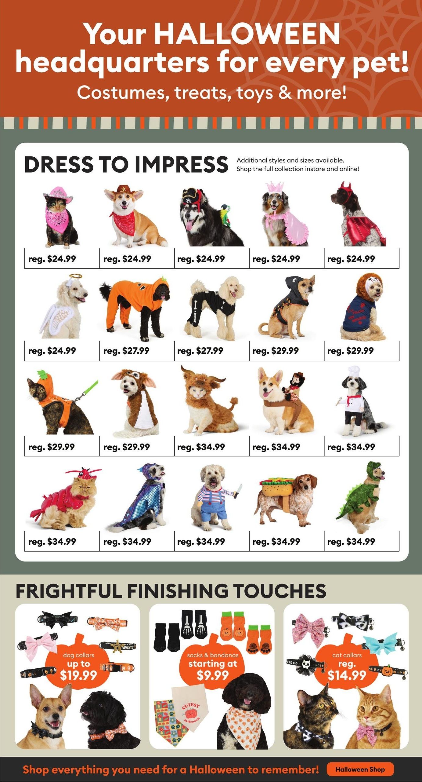PetSmart Flyer August 10 to 16