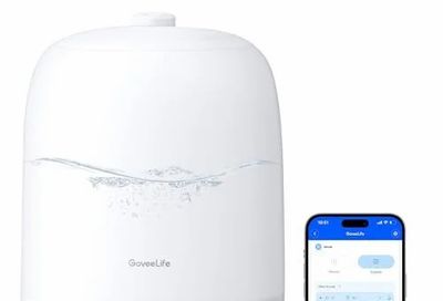 Amazon.ca: GoveeLife Smart 3L Humidifier $41.99