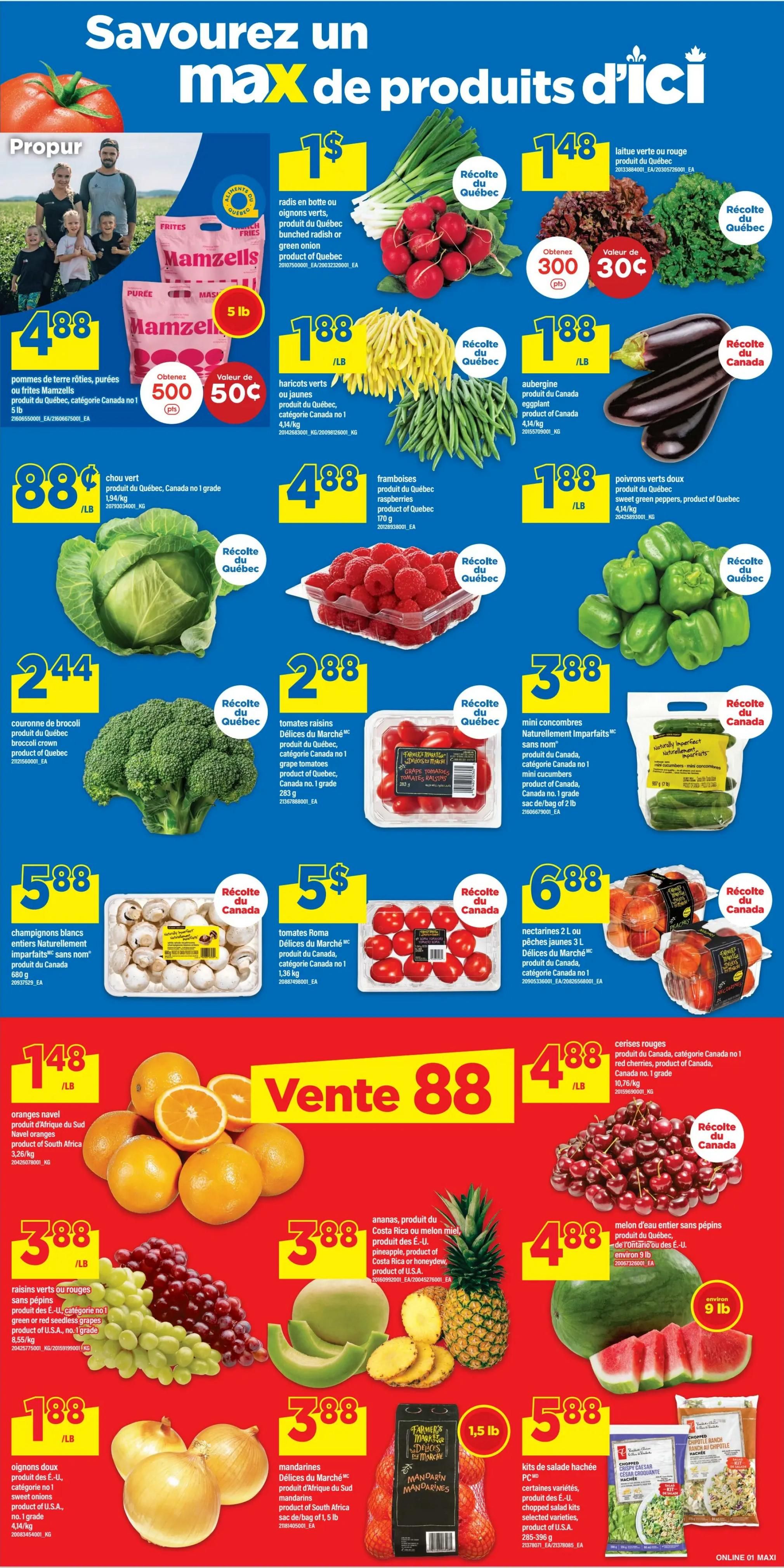 Maxi Flyer August 13 to 19