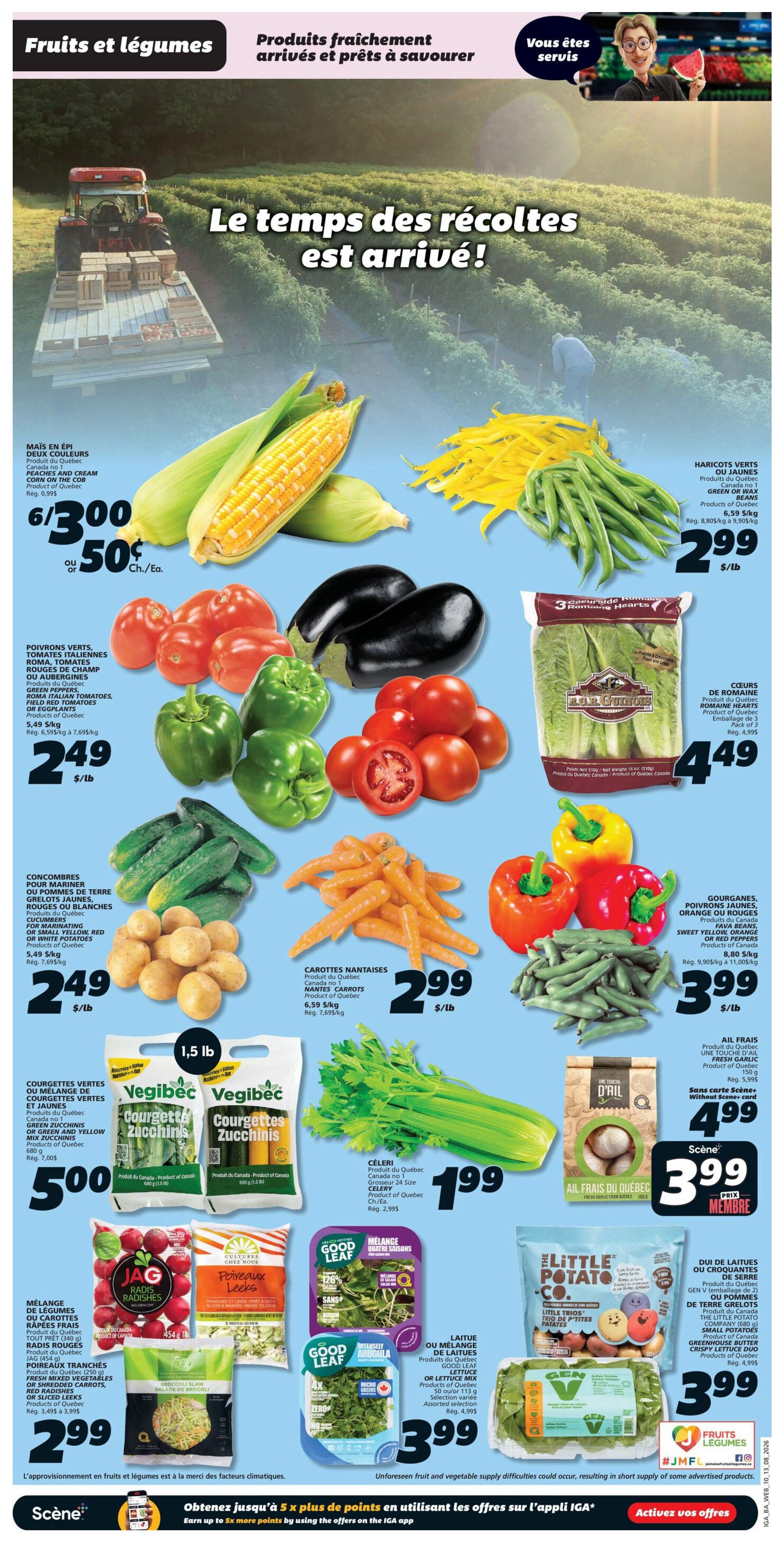 IGA (NB) Flyer August 13 to 19