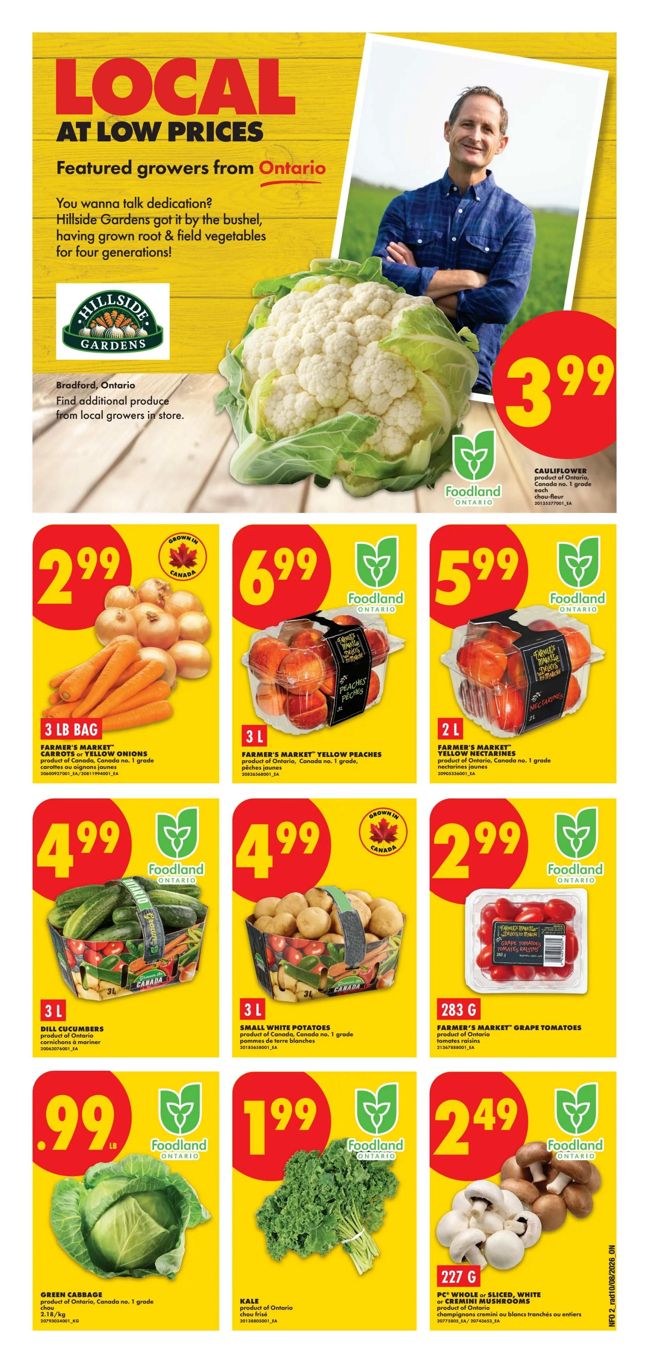No Frills (ON) Flyer August 13 to 19