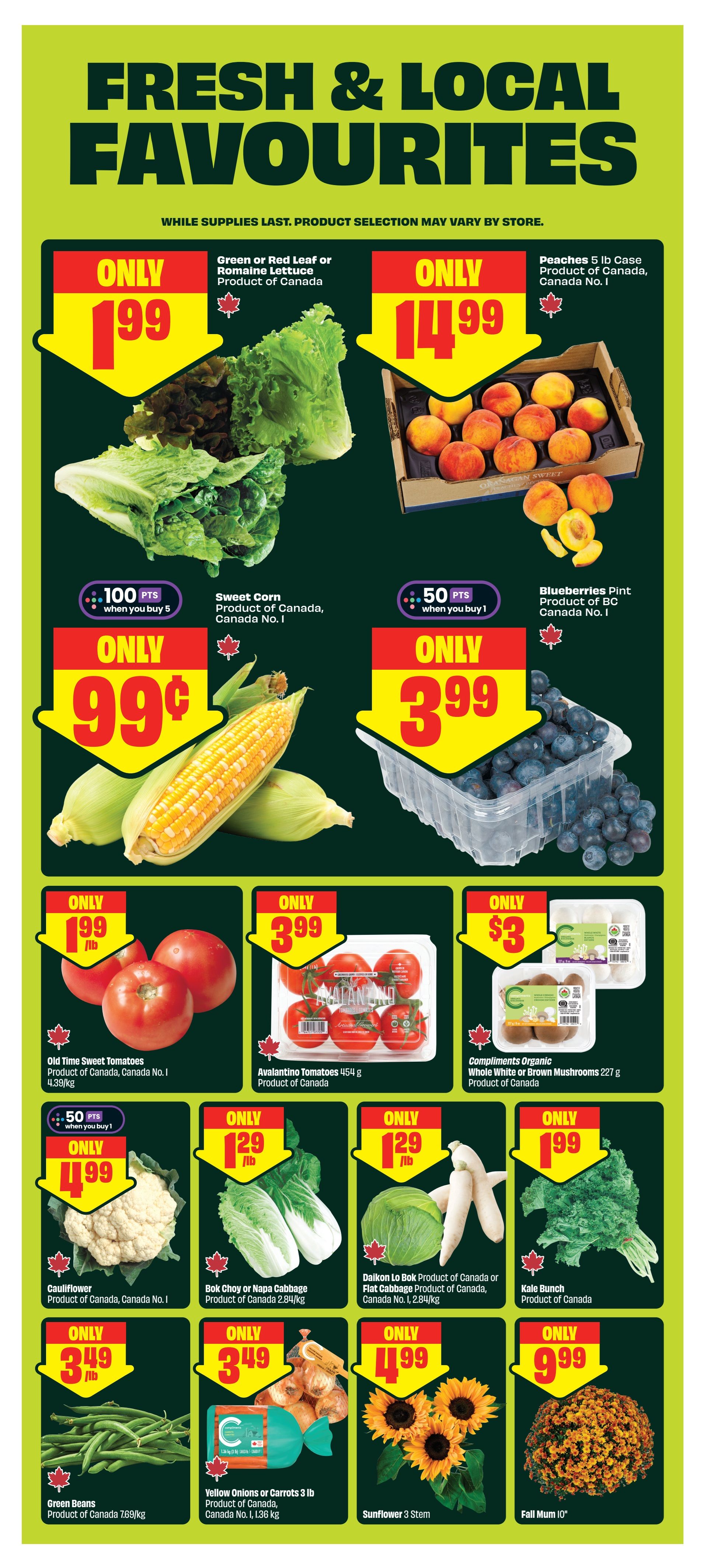 FreshCo (West) Flyer August 13 to 19