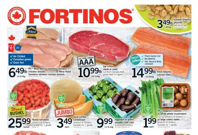 Fortinos Flyer August 13 to 19