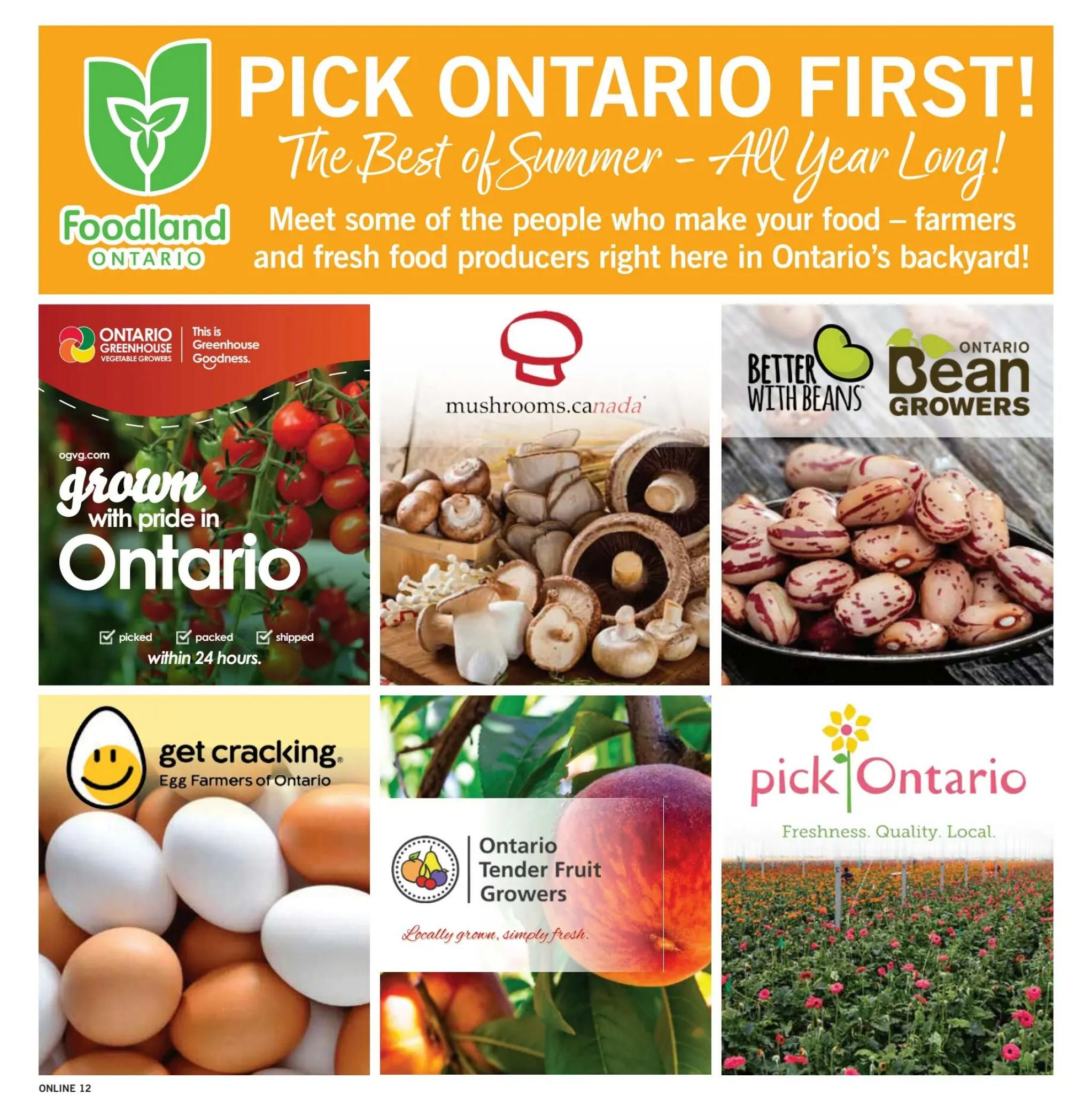 Fortinos Flyer August 13 to 19
