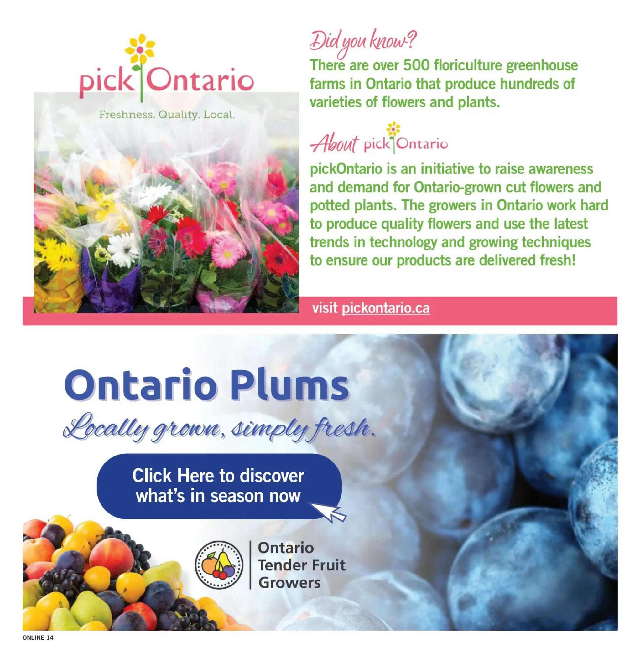 Fortinos Flyer August 13 to 19