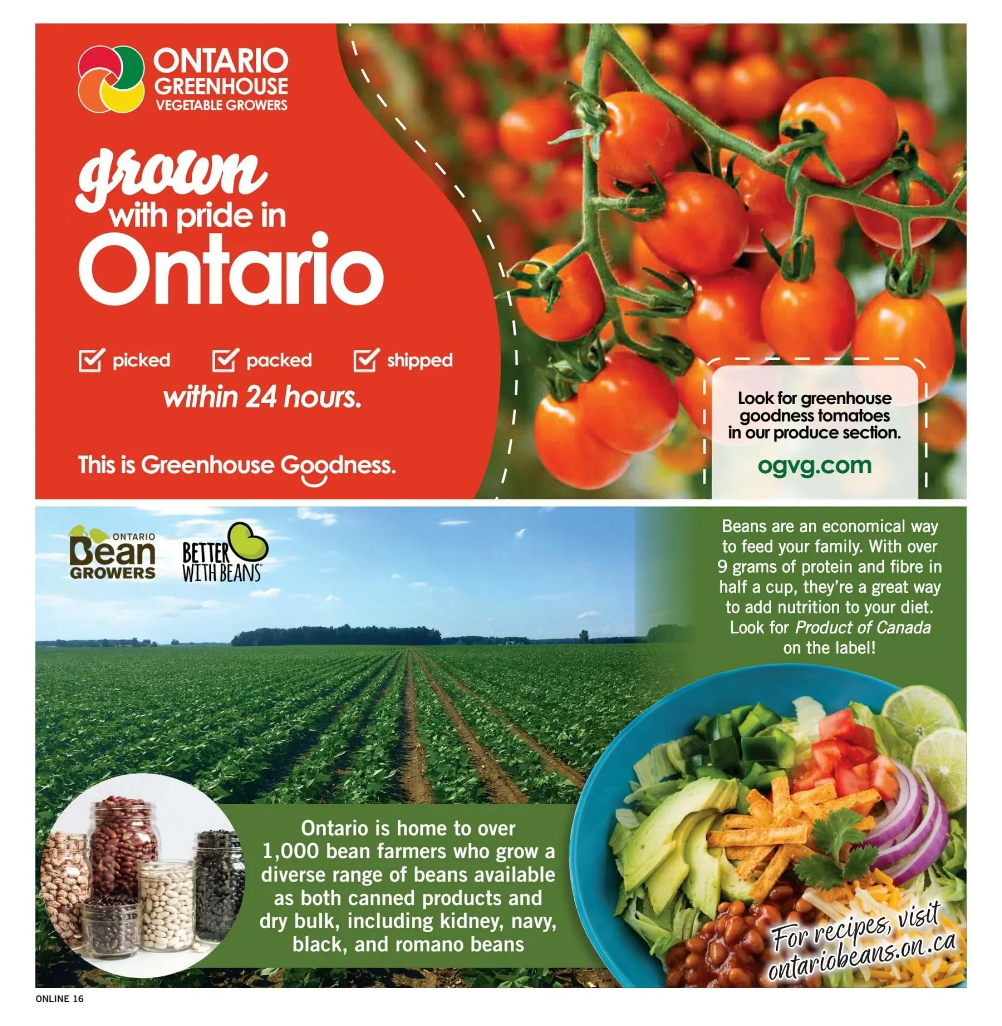 Fortinos Flyer August 13 to 19