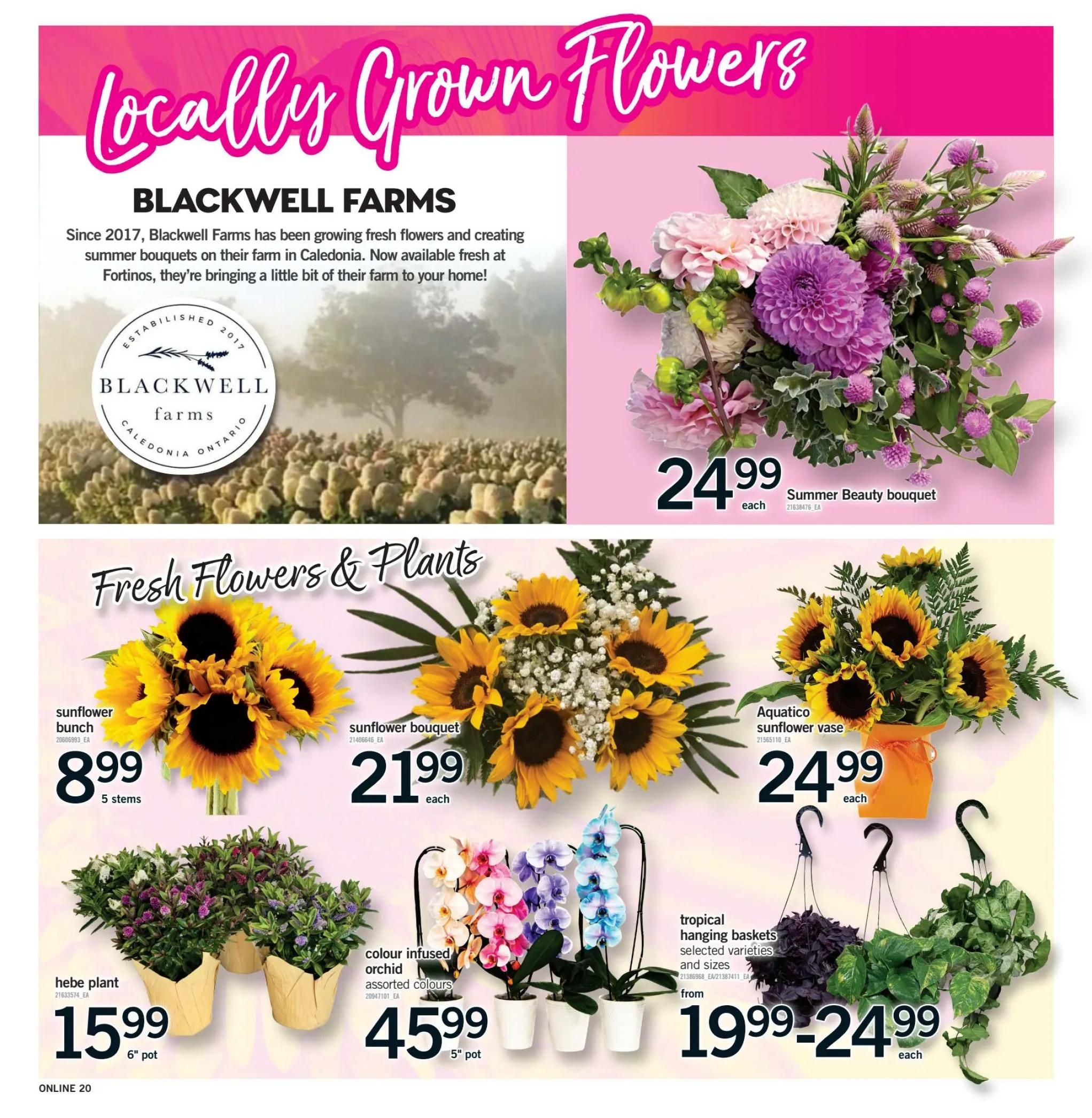 Fortinos Flyer August 13 to 19