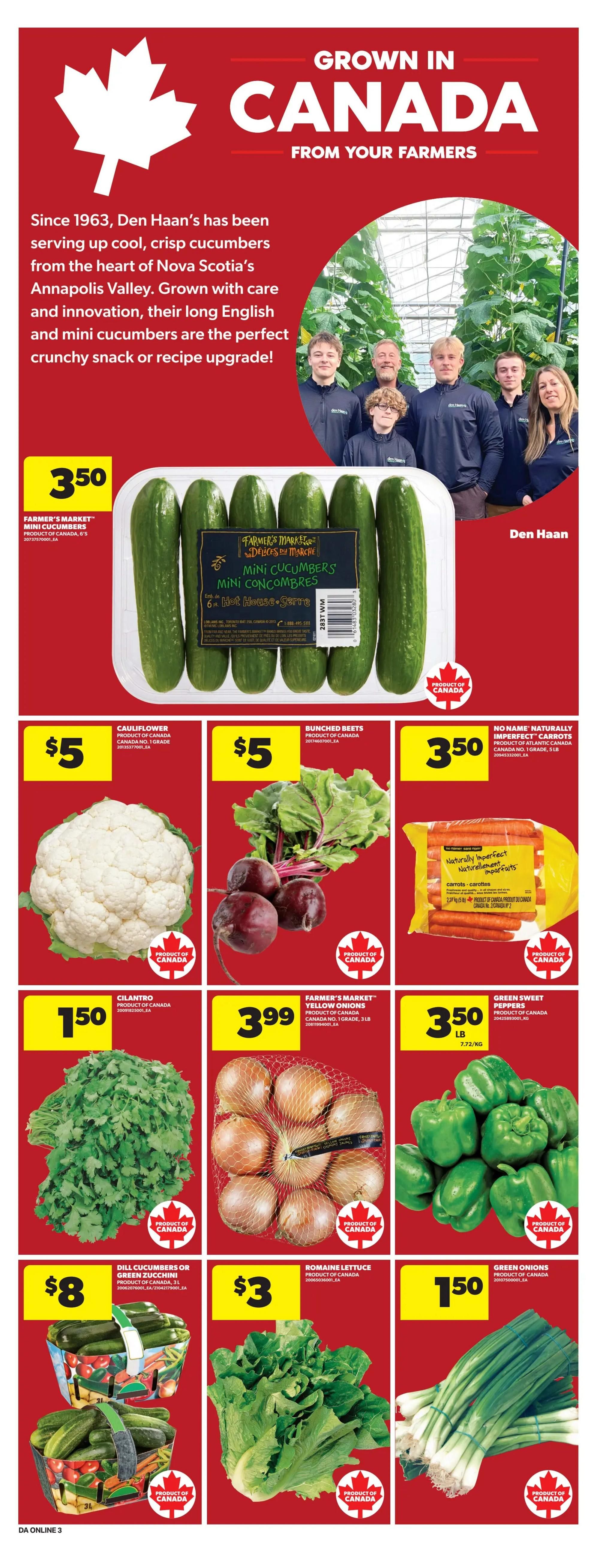 Dominion Flyer August 13 to 19