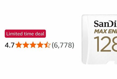 Amazon.ca: Sandisk max endurance 128gb - $80.99