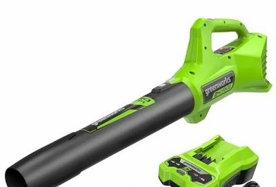 Amazon.ca: Greenworks 24V 320 CFM Cordless Axial Leaf Blower, 2.0Ah Battery and Charger Included $37.00