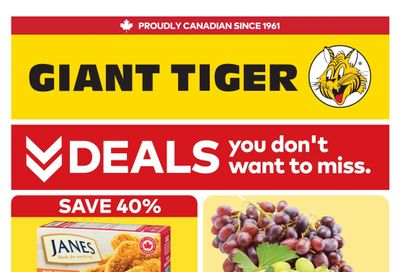 Giant Tiger (ON) Flyer August 19 to 25