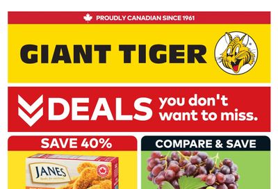 Giant Tiger (West) Flyer August 19 to 25