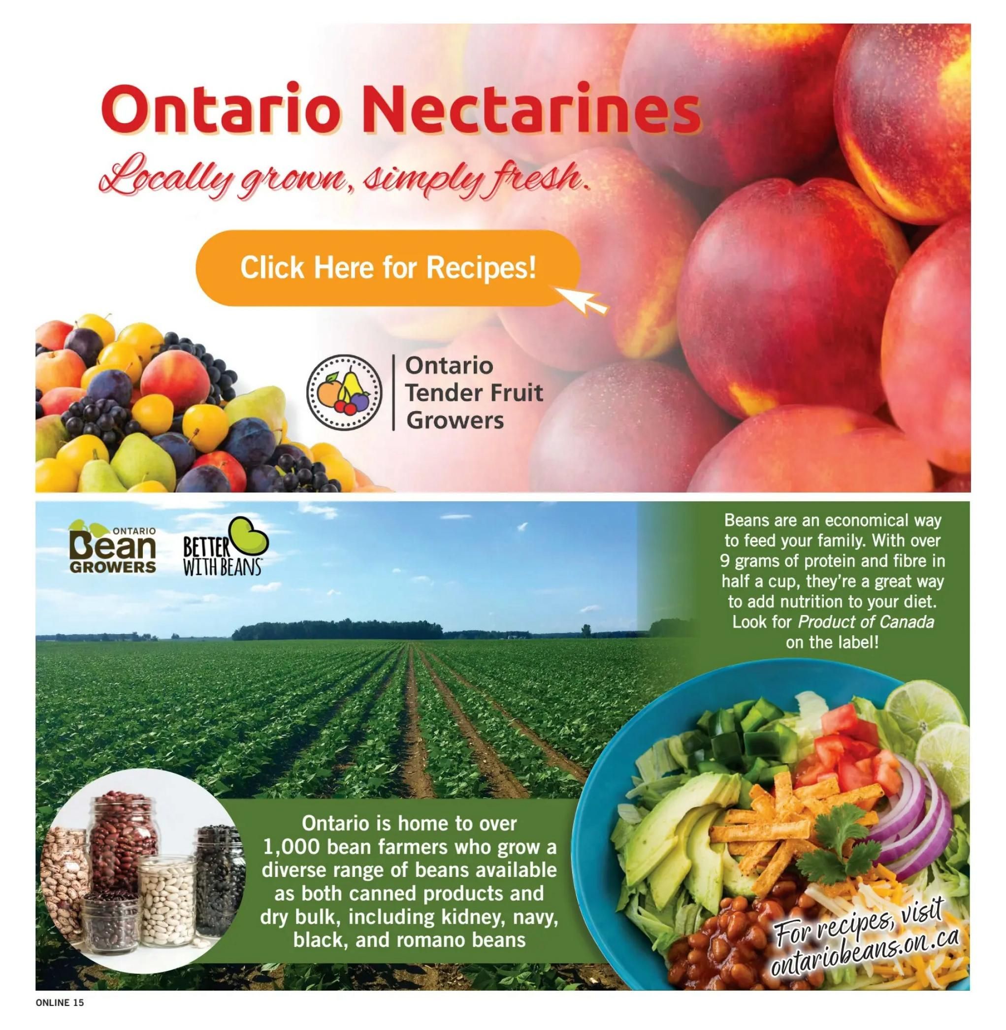 Fortinos Flyer August 20 to 26