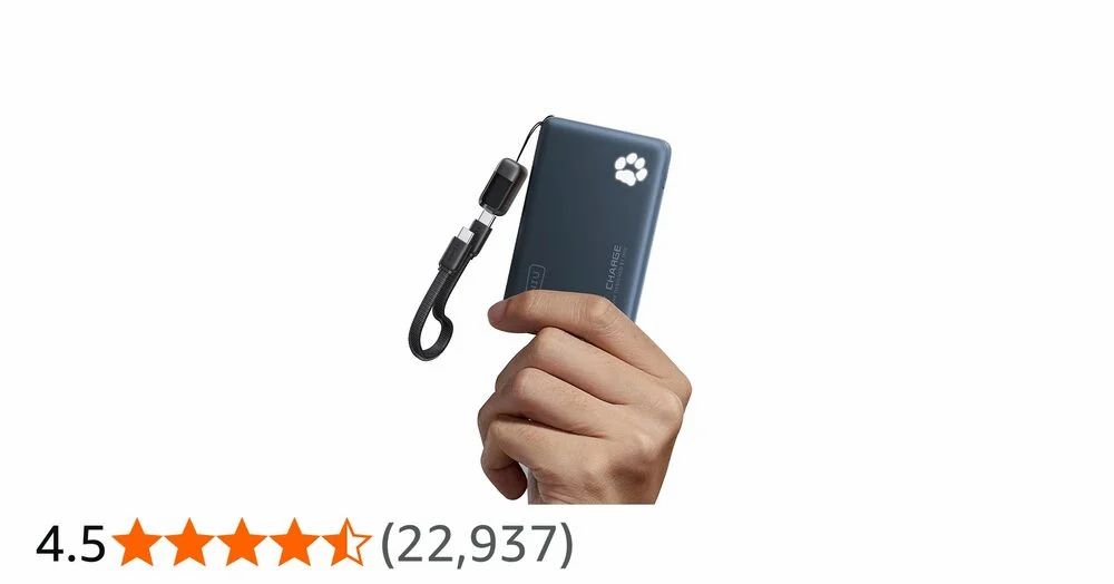 Amazon.ca: INIU 45W 10000mAh Blue Power Bank $10.19