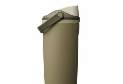 Amazon.ca: Owala FreeSip Sway Insulated Stainless Steel Water Bottle 40oz $38.39