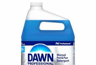 Amazon.ca: Dawn Professional Liquid Concentrate Manual Pot and Pan Detergent Dish Soap, (4 Count of 3.78 L Each) $42.84