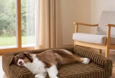 Amazon.ca: Bedsure ComfyFleece™ Orthopedic Dog Bed Large with Memory Foam $61.74