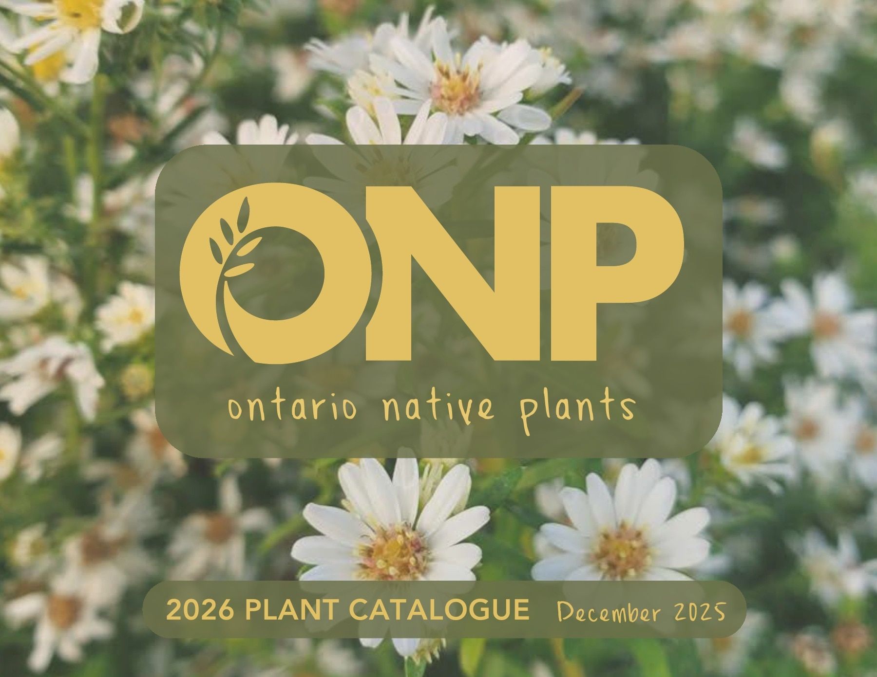 Ontario Native Plants Spring Catalog Flyer March 1 - September 30, 2026