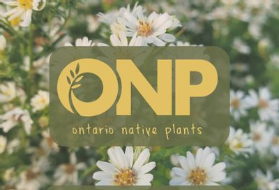 Ontario Native Plants Spring Catalog Flyer March 1 - September 30, 2026
