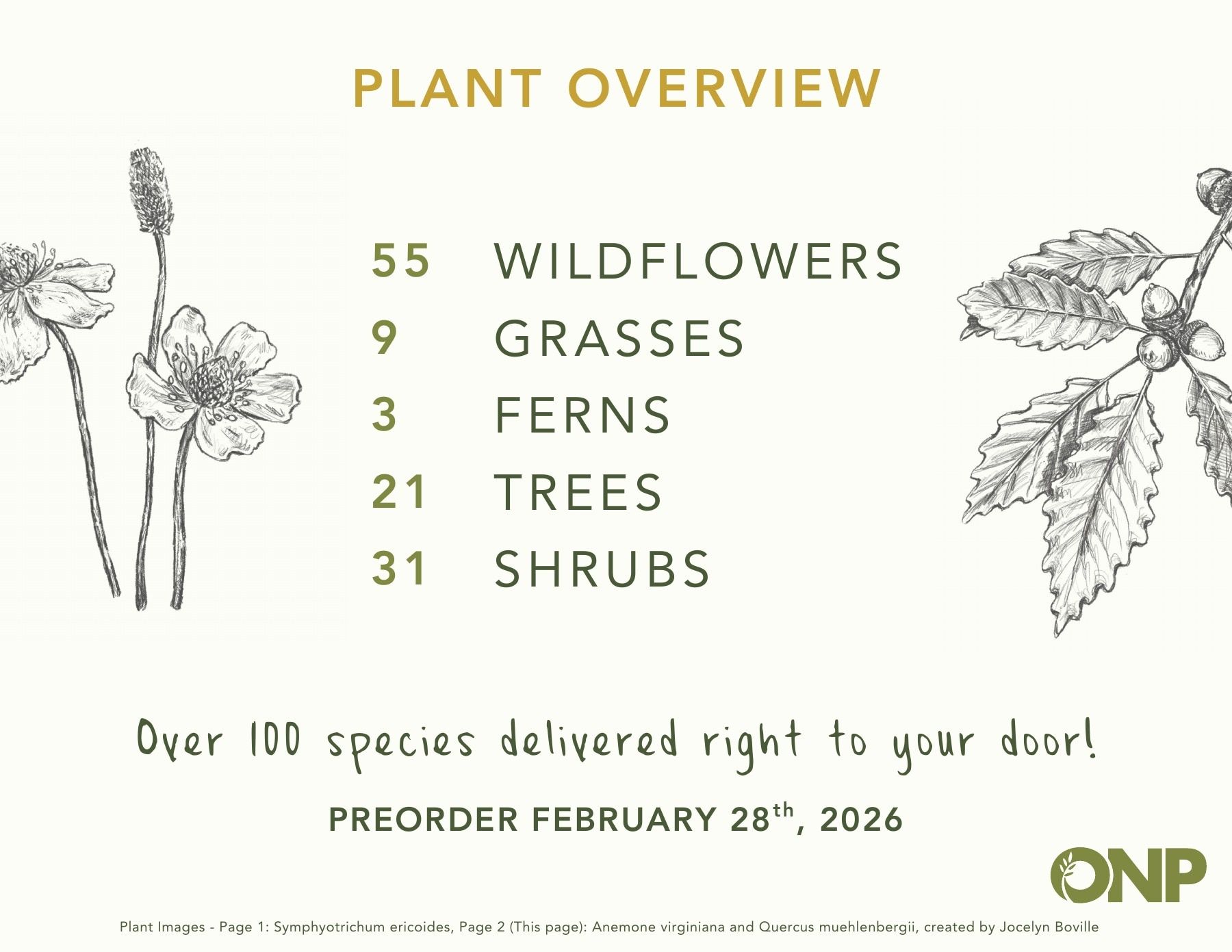 Ontario Native Plants Spring Catalog Flyer March 1 - September 30, 2026