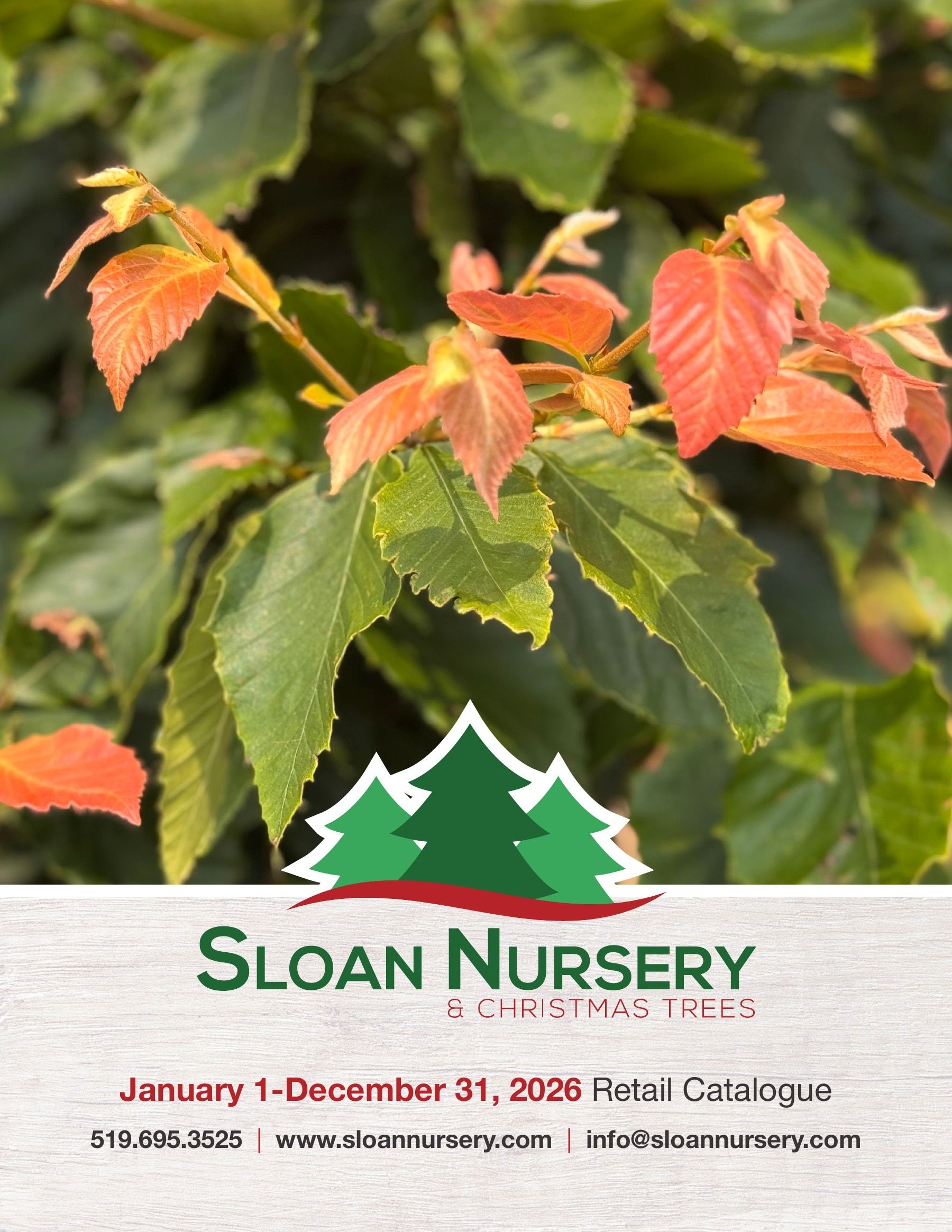 Sloan Nursery & Christmas Trees Annual Retail Catalog Flyer January 1 - December 31, 2026