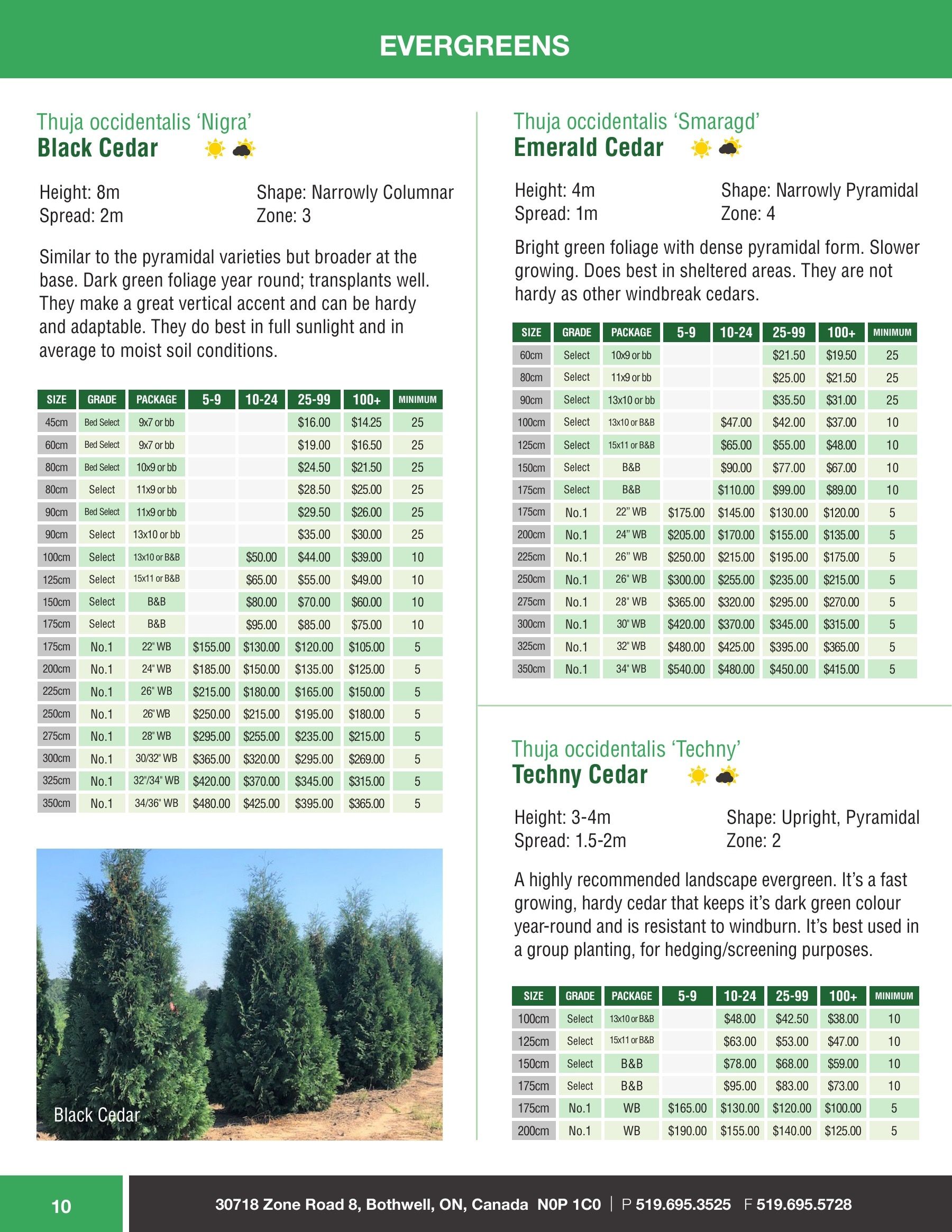 Sloan Nursery & Christmas Trees Annual Retail Catalog Flyer January 1 - December 31, 2026