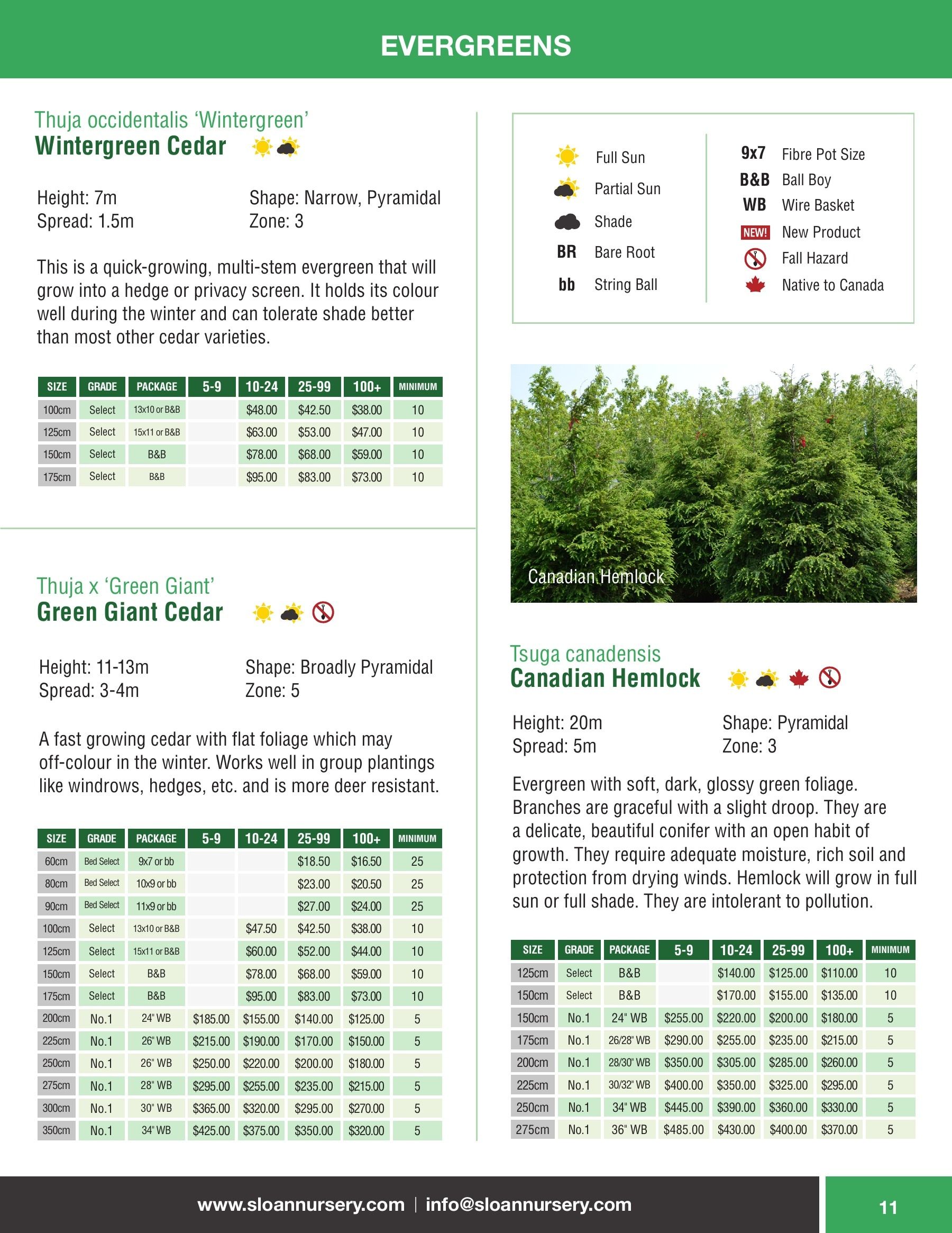 Sloan Nursery & Christmas Trees Annual Retail Catalog Flyer January 1 - December 31, 2026