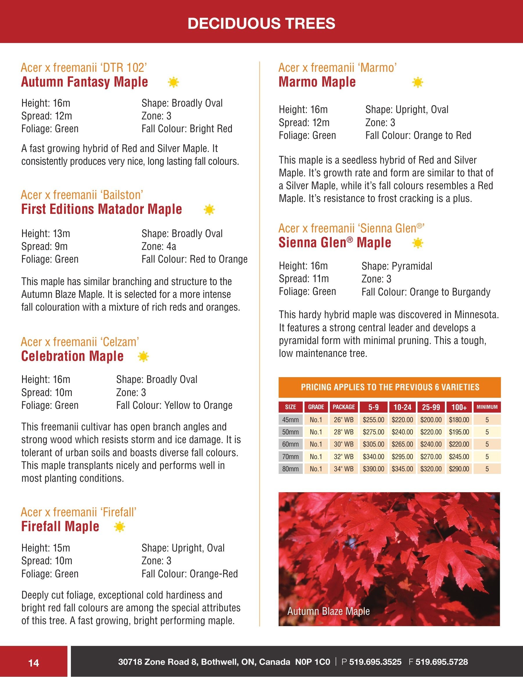 Sloan Nursery & Christmas Trees Annual Retail Catalog Flyer January 1 - December 31, 2026
