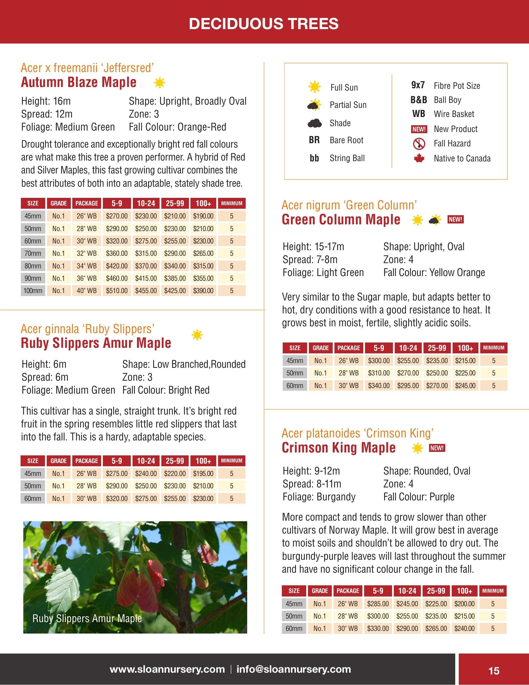 Sloan Nursery & Christmas Trees Annual Retail Catalog Flyer January 1 - December 31, 2026