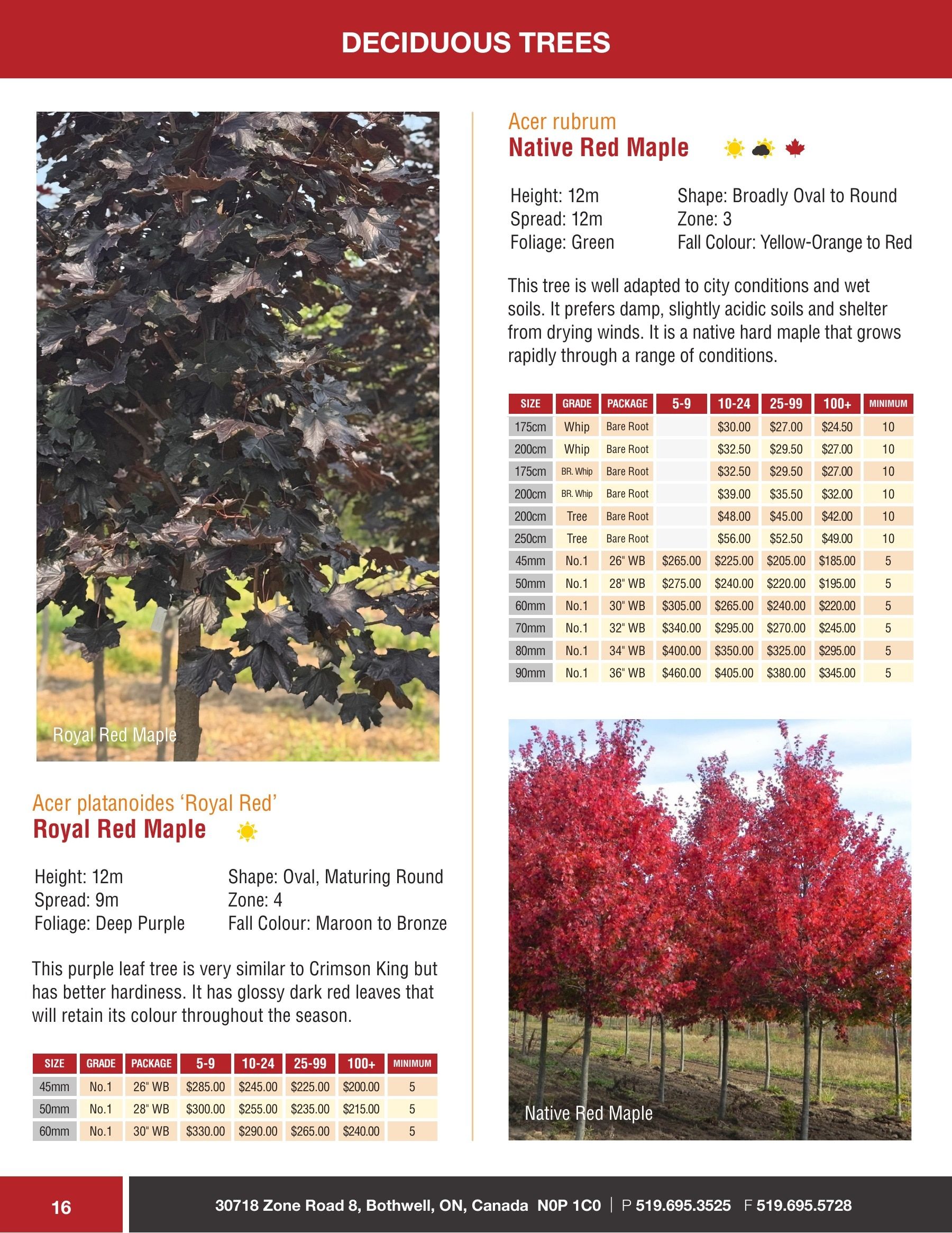 Sloan Nursery & Christmas Trees Annual Retail Catalog Flyer January 1 - December 31, 2026