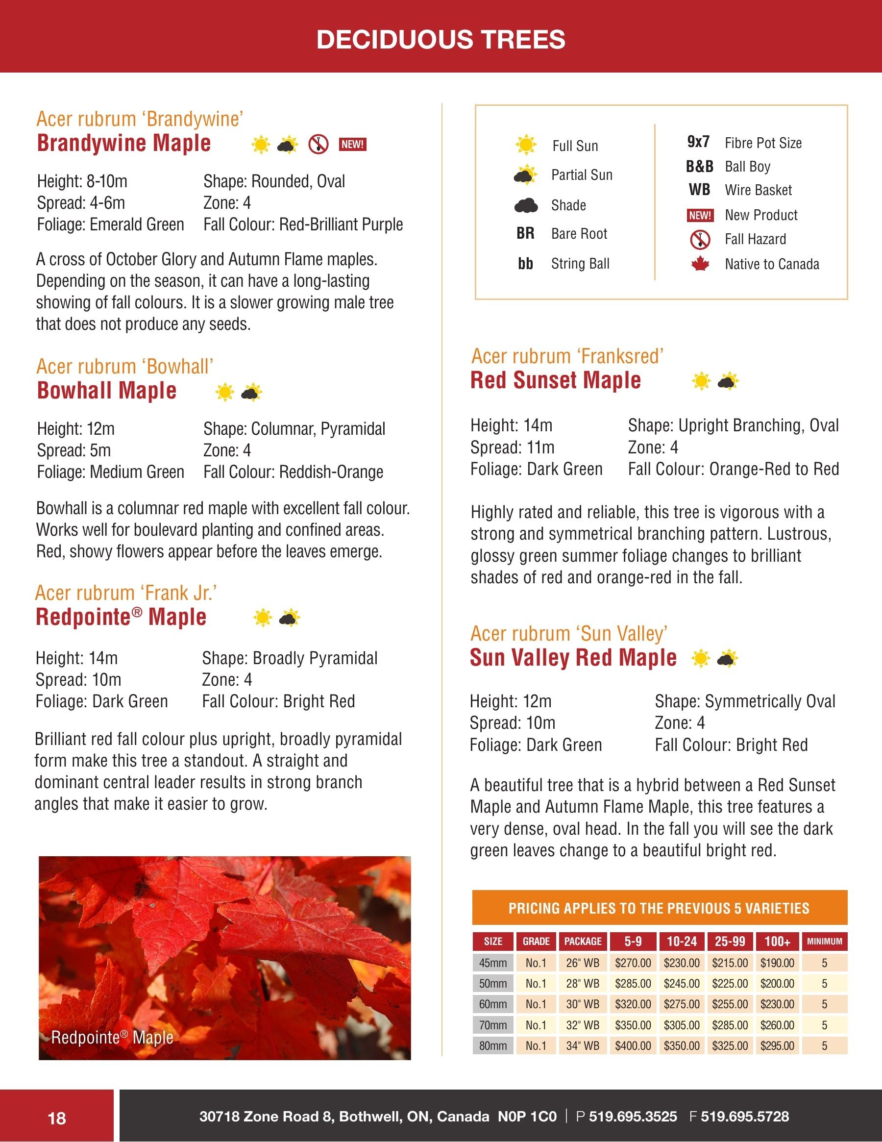 Sloan Nursery & Christmas Trees Annual Retail Catalog Flyer January 1 - December 31, 2026