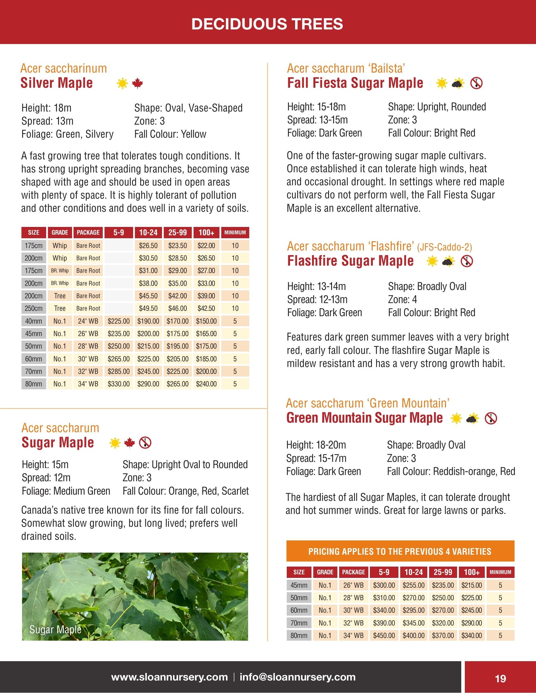 Sloan Nursery & Christmas Trees Annual Retail Catalog Flyer January 1 - December 31, 2026