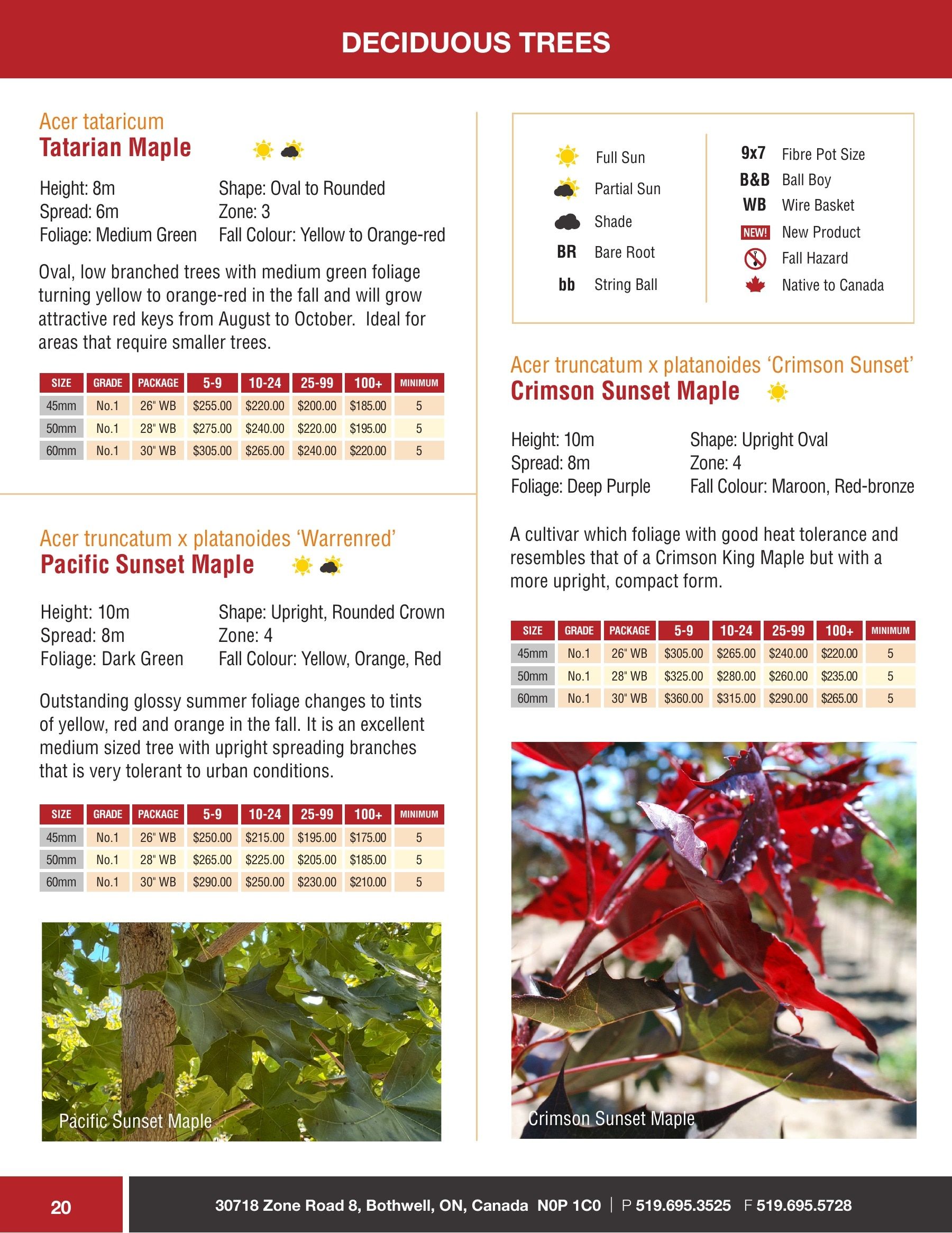 Sloan Nursery & Christmas Trees Annual Retail Catalog Flyer January 1 - December 31, 2026