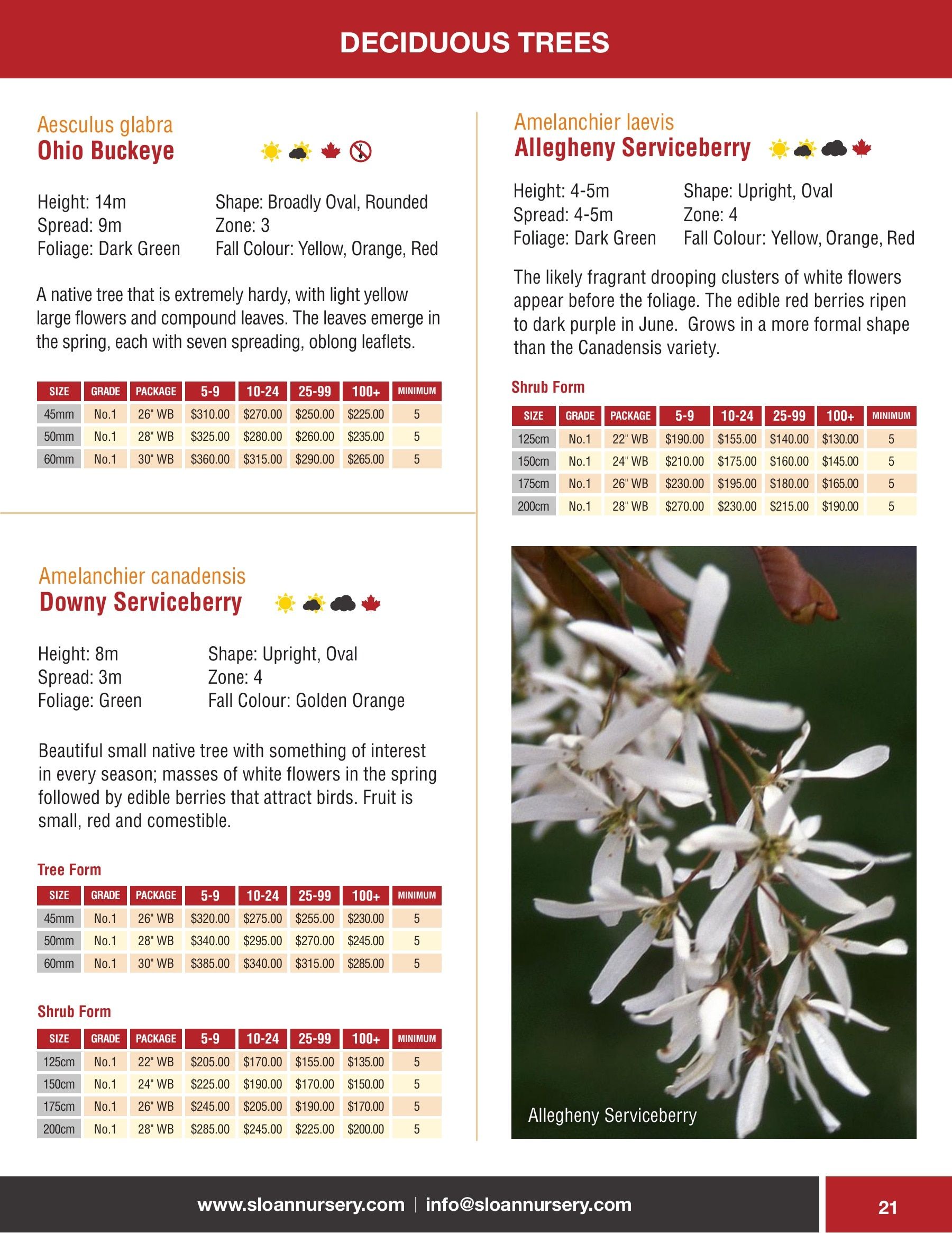 Sloan Nursery & Christmas Trees Annual Retail Catalog Flyer January 1 - December 31, 2026