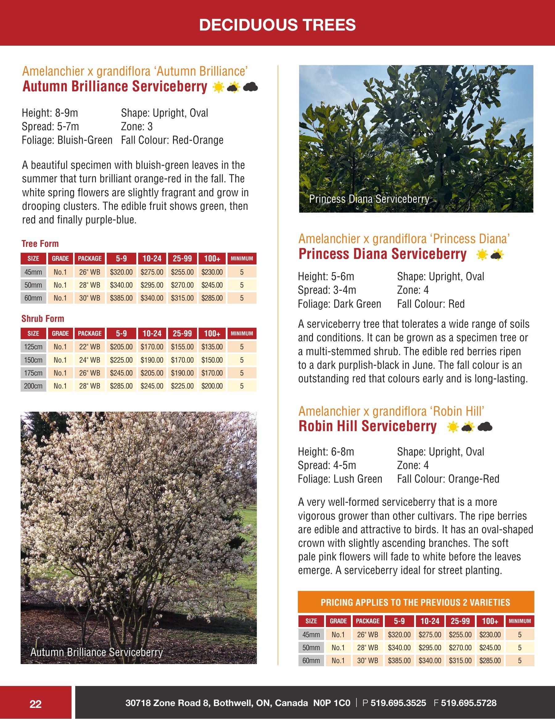 Sloan Nursery & Christmas Trees Annual Retail Catalog Flyer January 1 - December 31, 2026