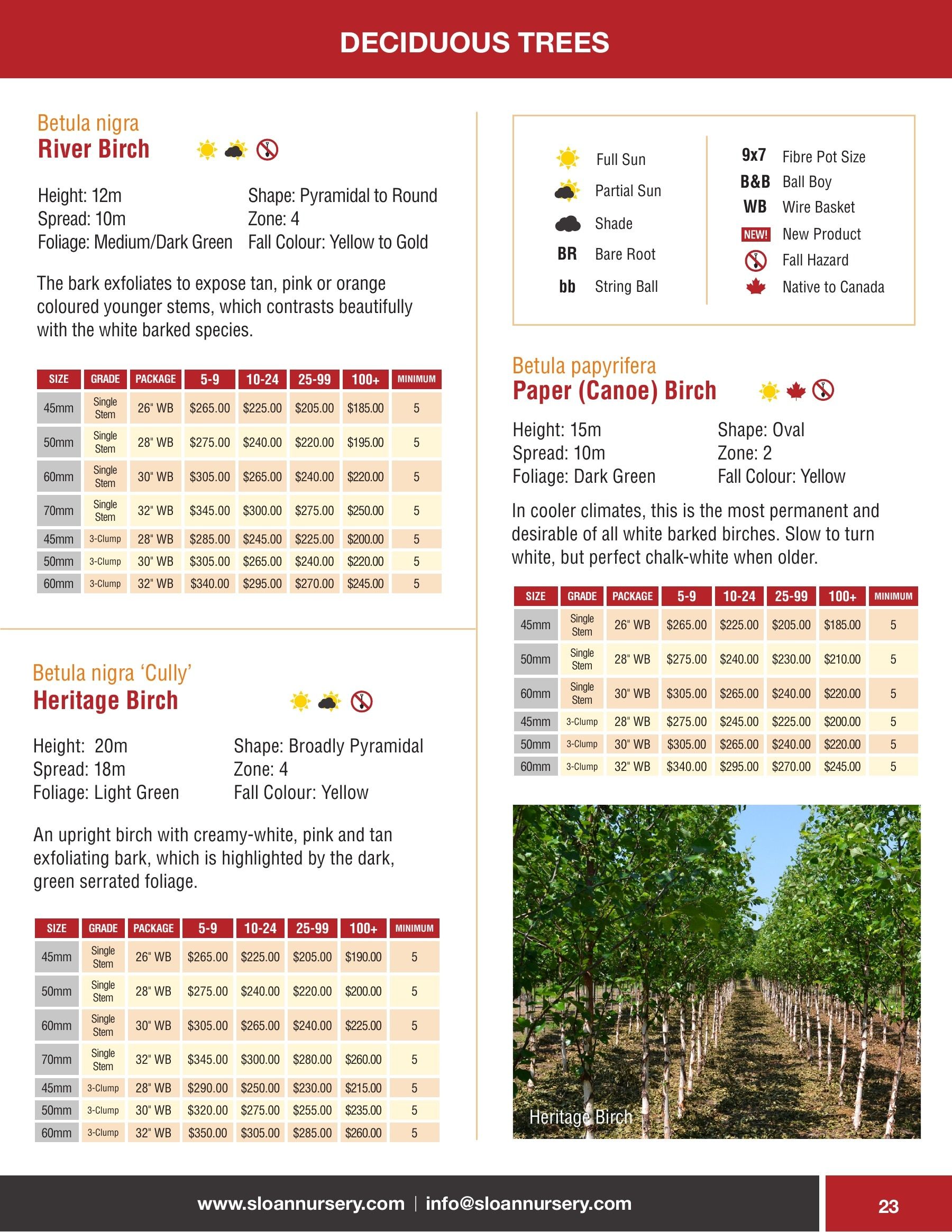 Sloan Nursery & Christmas Trees Annual Retail Catalog Flyer January 1 - December 31, 2026