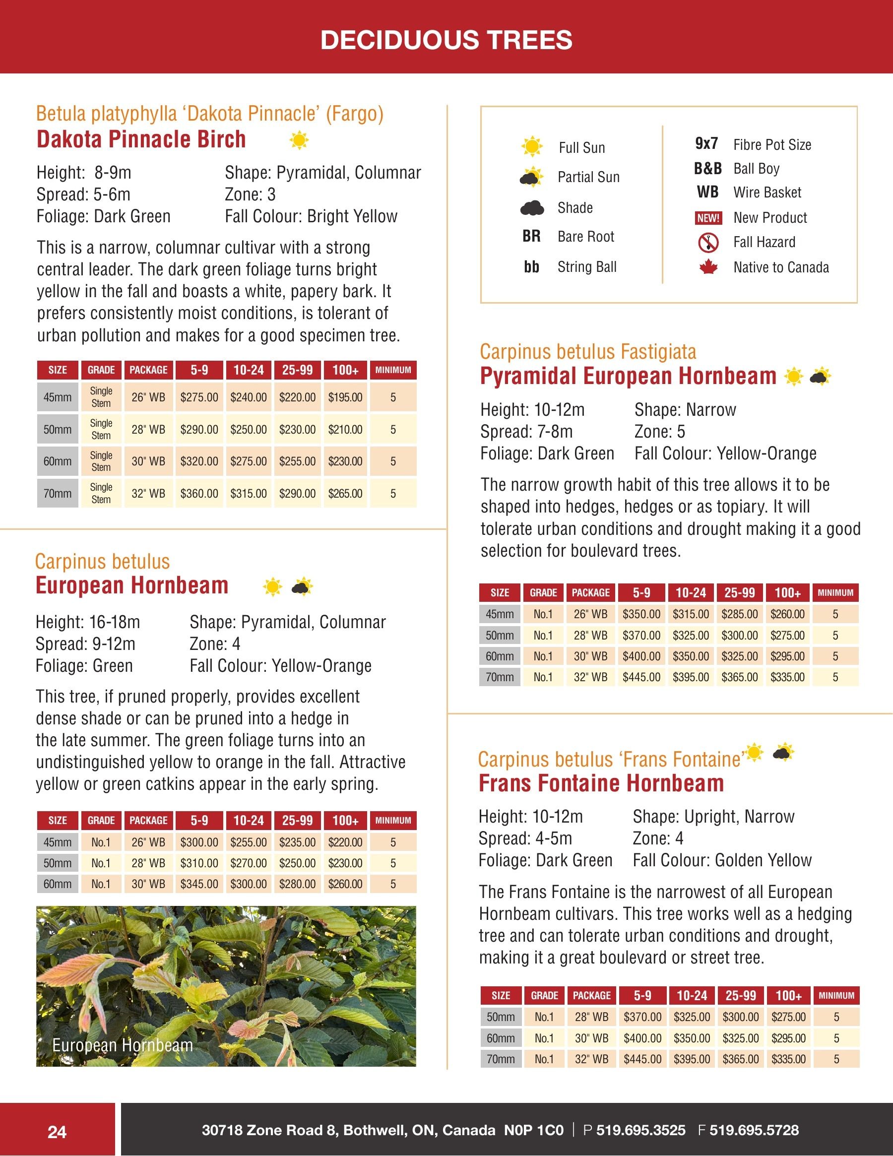Sloan Nursery & Christmas Trees Annual Retail Catalog Flyer January 1 - December 31, 2026