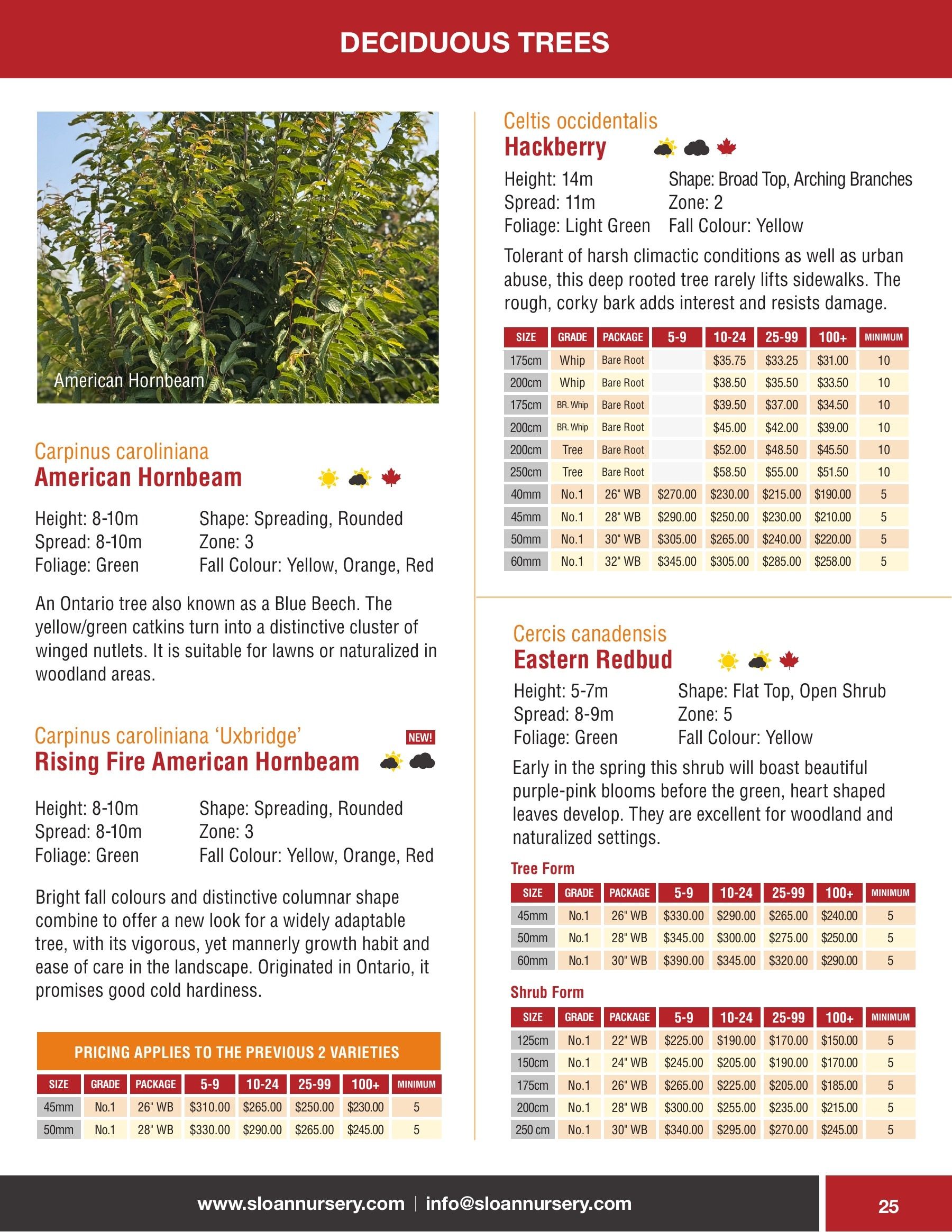 Sloan Nursery & Christmas Trees Annual Retail Catalog Flyer January 1 - December 31, 2026