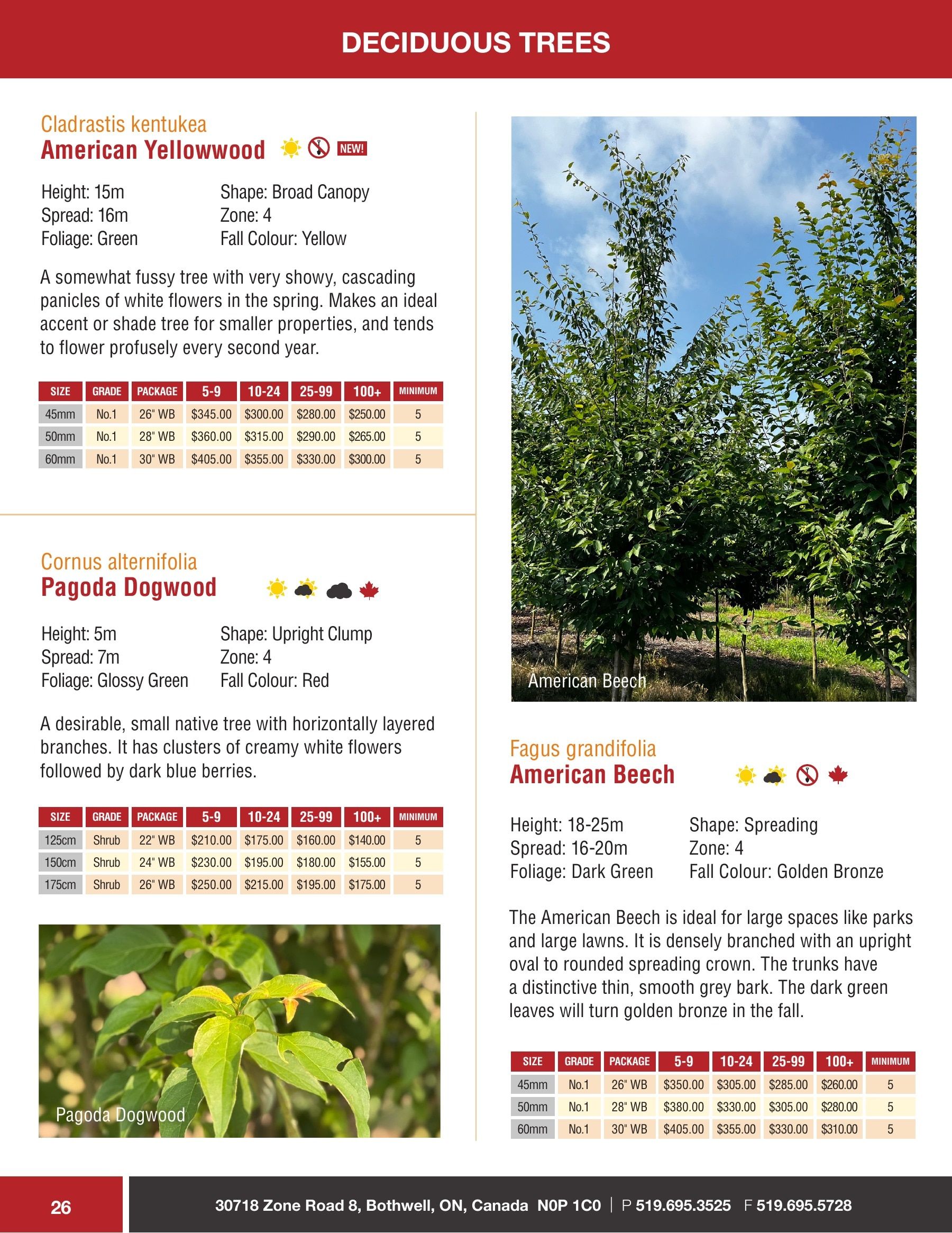 Sloan Nursery & Christmas Trees Annual Retail Catalog Flyer January 1 - December 31, 2026