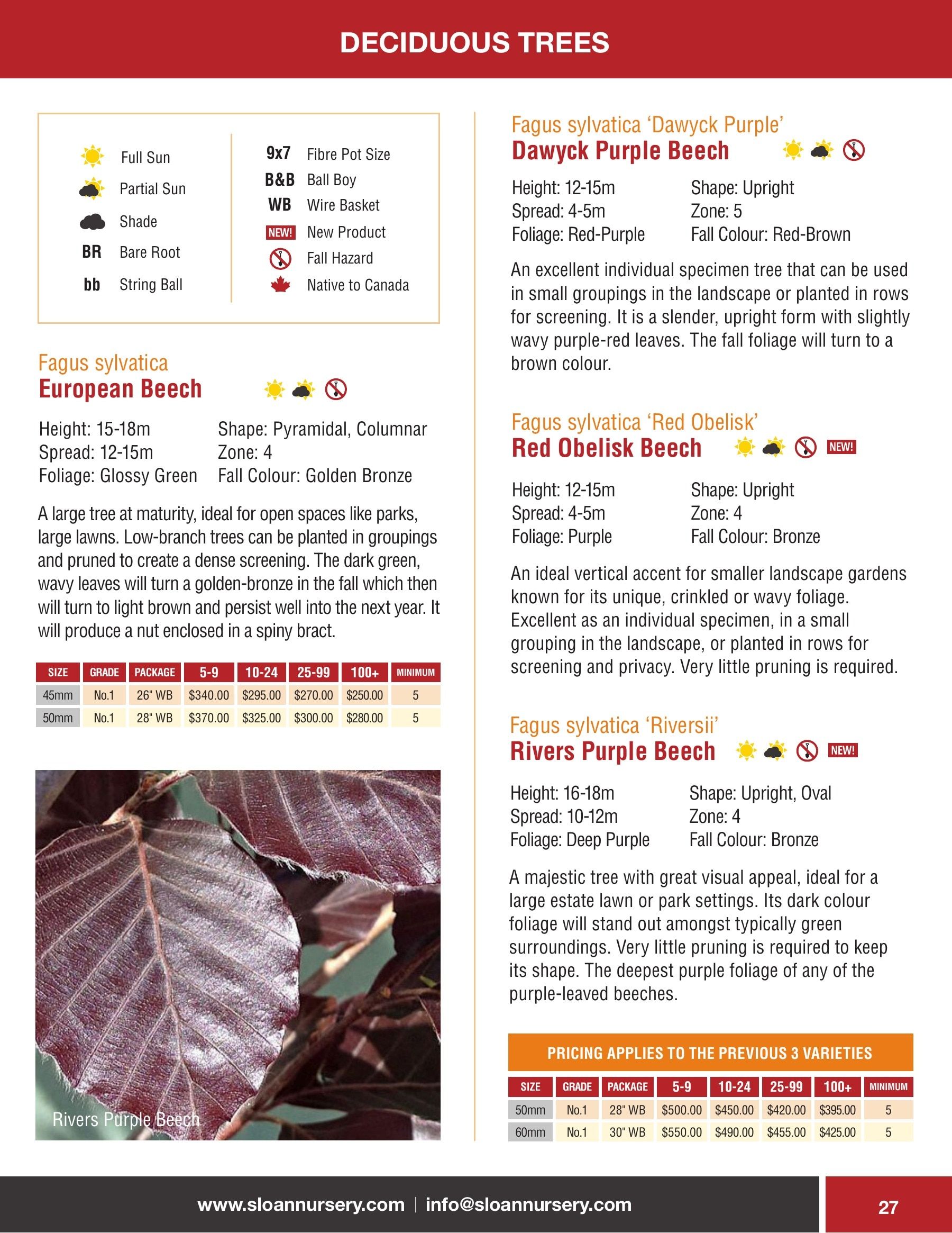 Sloan Nursery & Christmas Trees Annual Retail Catalog Flyer January 1 - December 31, 2026